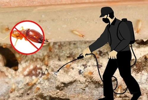 Termite Control Services​