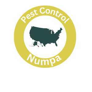 Numpa Ant Control​